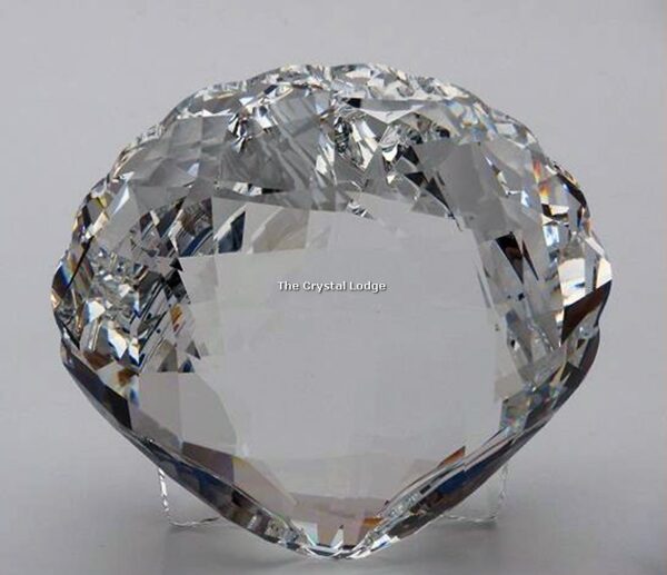 Swarovski_Ark_Shell_5136841