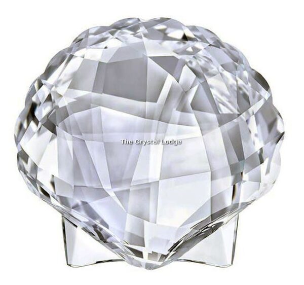 SWAROVSKI ARK SHELL 5136841 - Image 8
