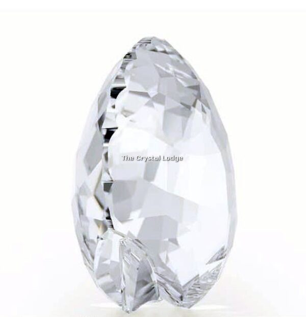Swarovski_Ark_Shell_5136841