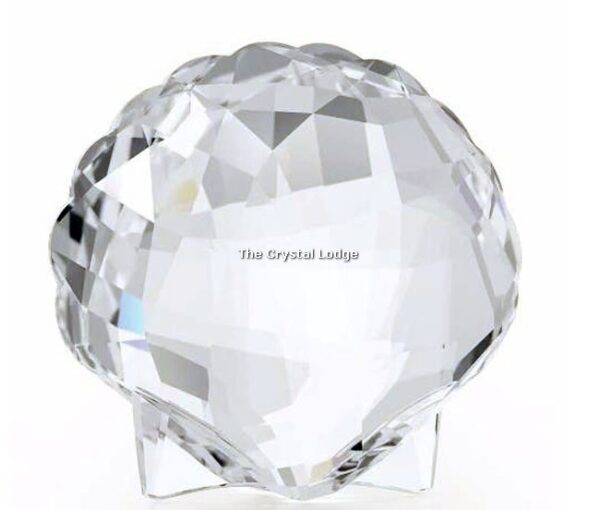 Swarovski_Ark_Shell_5136841