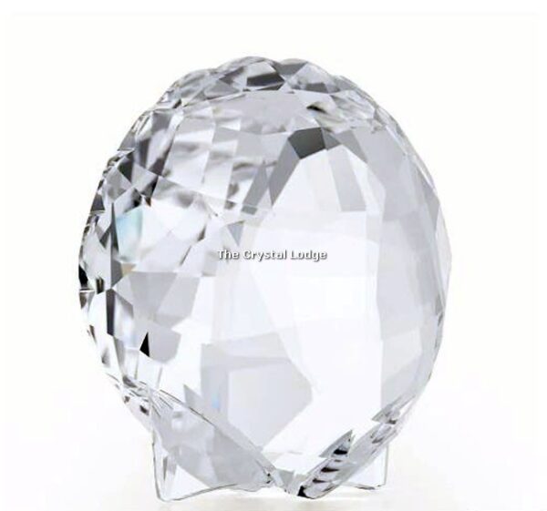 Swarovski_Ark_Shell_5136841