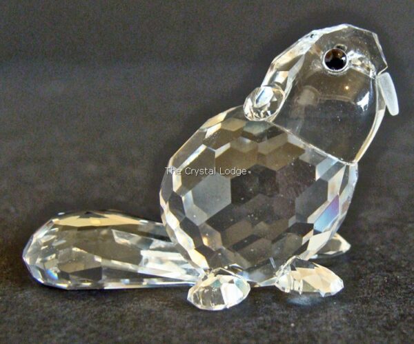 Swarovski_Beaver_baby_sitting_161638 | The Crystal Lodge