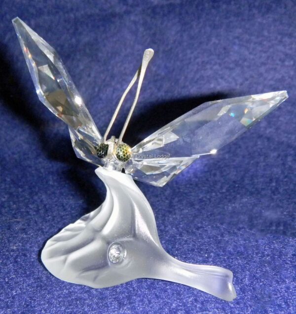 Swarovski_Butterfly_on_leaf_182920 | The Crystal Lodge