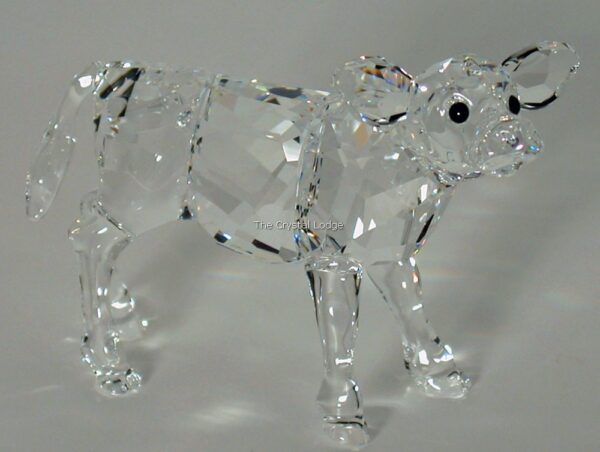 Swarovski_Calf_905776 | The Crystal Lodge