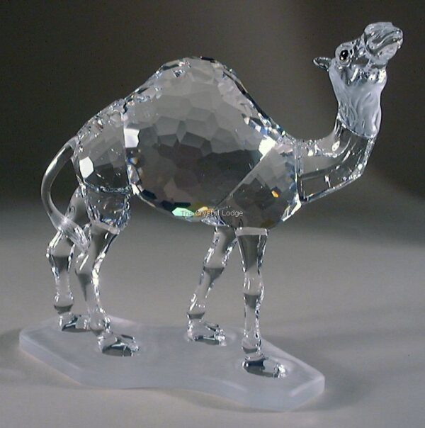 Swarovski_Camel_247683 | The Crystal Lodge