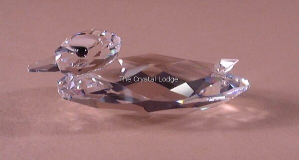 Swarovski_Duck_medium_USA_7653NR55 | The Crystal Lodge