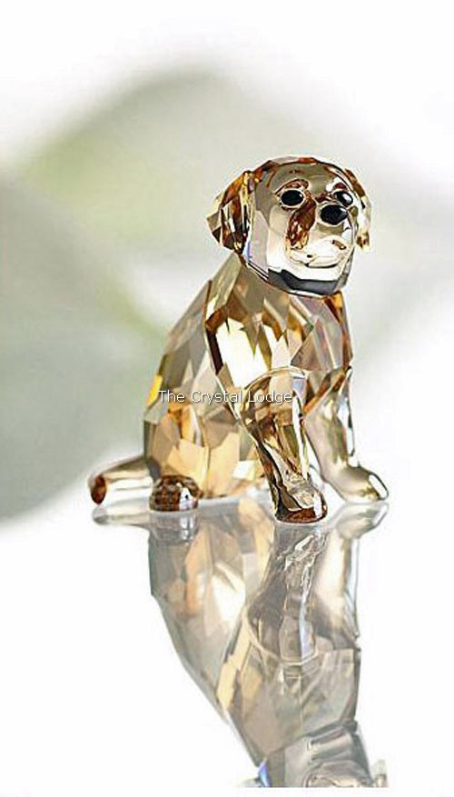 Swarovski_Golden_retriever_puppy_sitting_1142825 | The Crystal Lodge