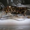 Swarovski_Jaguar_1096796 | The Crystal Lodge
