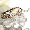 Swarovski_Jaguar_1096796 | The Crystal Lodge