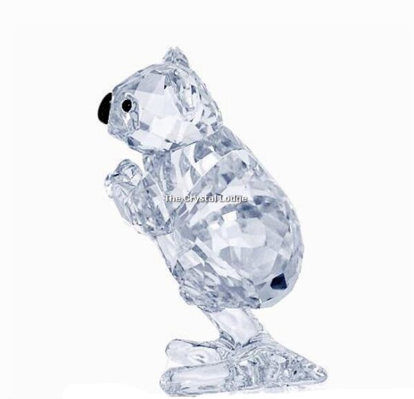 Swarovski_Koala_2017_5271914 | The Crystal Lodge