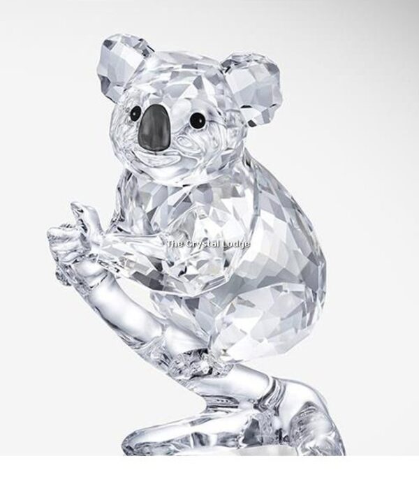 Swarovski_Koala_2017_5271914 | The Crystal Lodge
