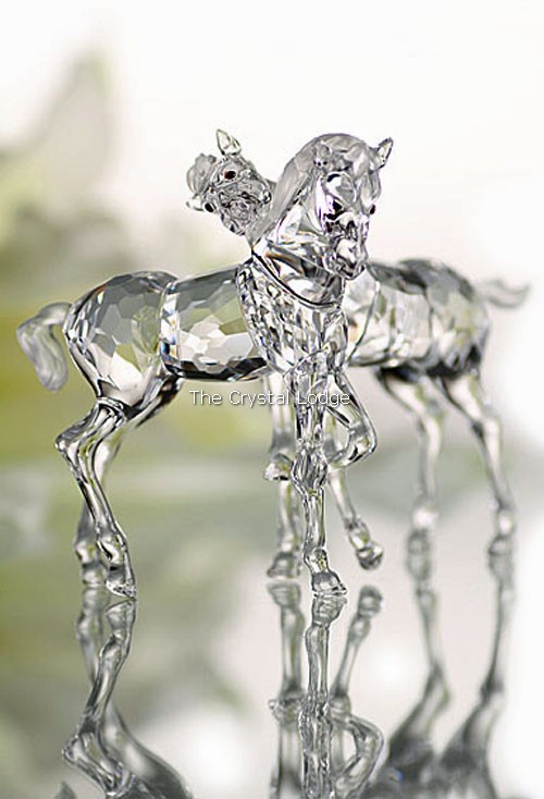 Swarovski_foals_627637 | The Crystal Lodge