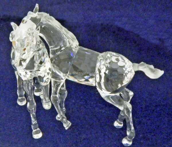 Swarovski_foals_627637 | The Crystal Lodge