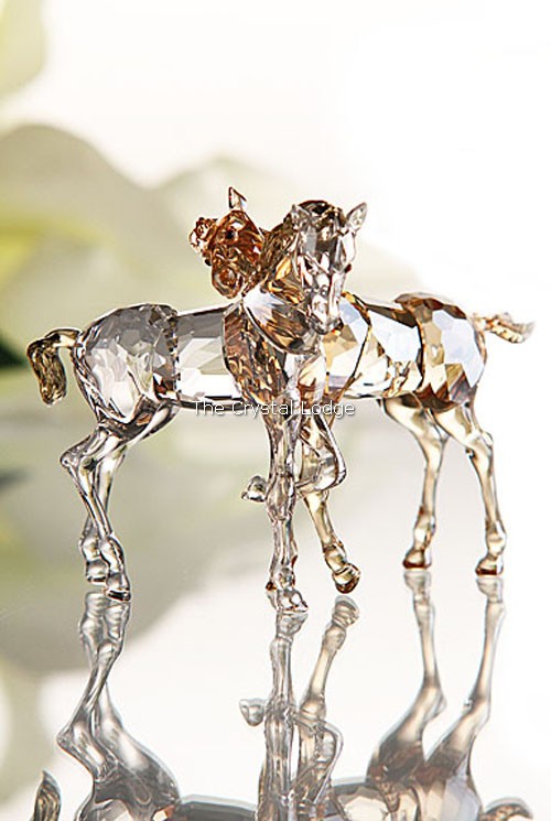 Swarovski_foals_playing_1121627 | The Crystal Lodge