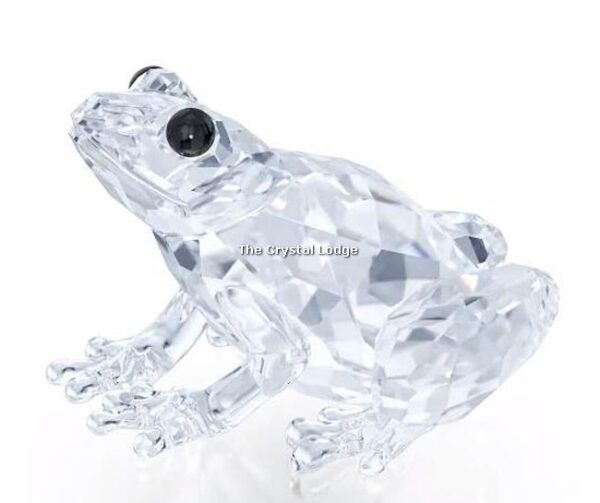 Swarovski_frog_2017_5243741 | The Crystal Lodge