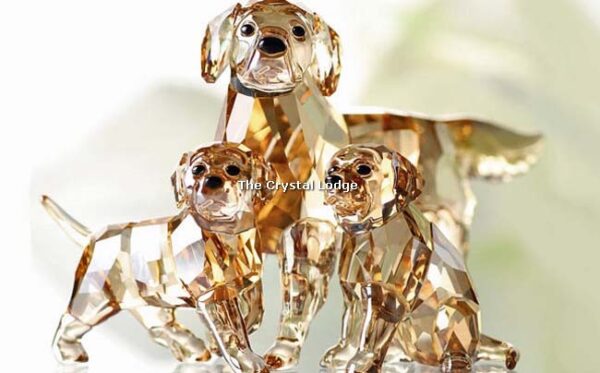 Swarovski_golden_retriever_puppy_standing_1142824 | The Crystal Lodge