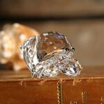 Swarovski_hermit_crab_671837_1_WM Swarovski_hermit_crab_671837 | The Crystal Lodge