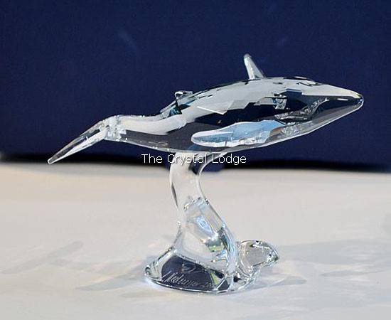 Swarovski_2012_annual_edition_companion_young_humpback_whale_1096741 | The Crystal Lodge