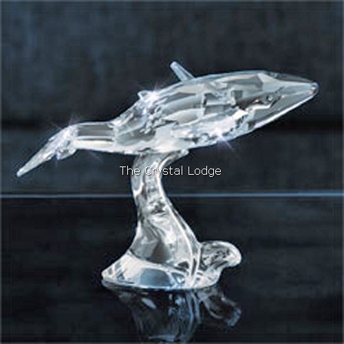 Swarovski_2012_annual_edition_companion_young_humpback_whale_1096741 | The Crystal Lodge