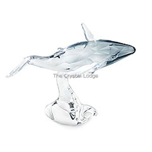 Swarovski_2012_annual_edition_companion_young_humpback_whale_1096741 | The Crystal Lodge