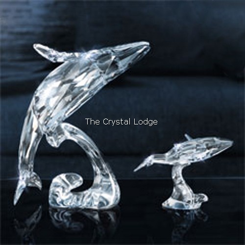 Swarovski_2012_annual_edition_companion_young_humpback_whale_1096741 | The Crystal Lodge