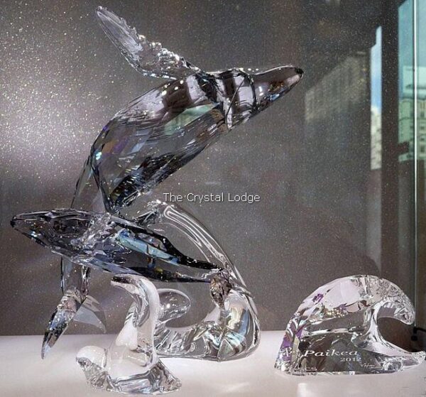 Swarovski_2012_annual_edition_companion_young_humpback_whale_1096741 | The Crystal Lodge