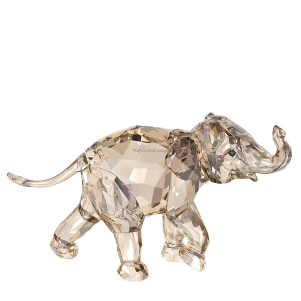 Swarovski_2013_annual_edition_companion_young_elephant_1142862 | The Crystal Lodge