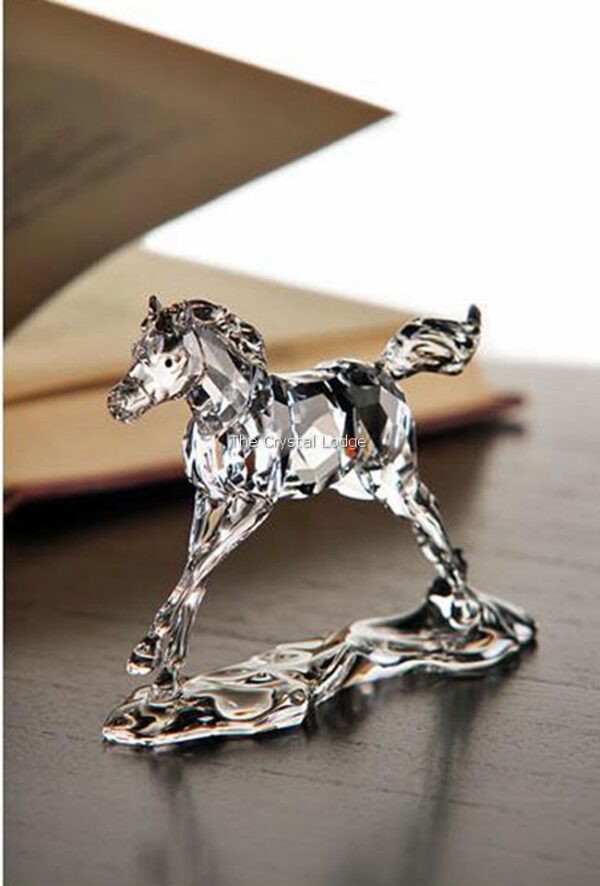 Swarovski_2014_companion_to_annual_edition_foal_5004729 | The Crystal Lodge