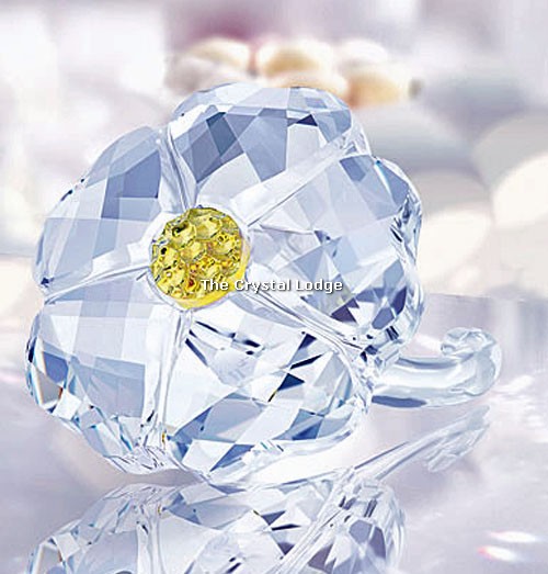 Swarovski_2017_SCS_renew_wild_flower_5244642 | The Crystal Lodge