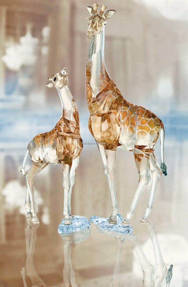 Swarovski_2018_AE_Giraffe_Mudiwa_5301550 | The Crystal Lodge