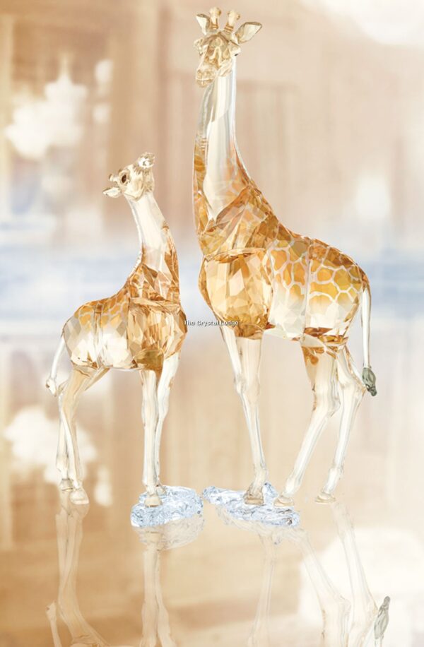 Swarovski_2018_AE_Giraffe_Mudiwa_5301550 | The Crystal Lodge