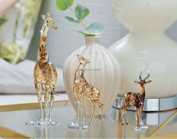 Swarovski_2018_AE_Giraffe_Mudiwa_5301550 | The Crystal Lodge