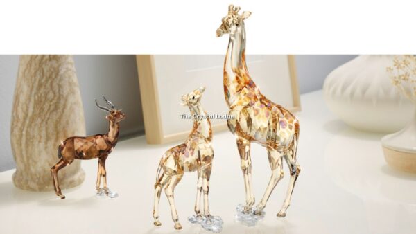 Swarovski_2018_AE_Giraffe_Mudiwa_5301550 | The Crystal Lodge
