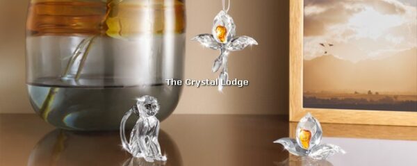 Swarovski_2018_SCS_Event_Vervet_Monkey_5301552 | The Crystal Lodge