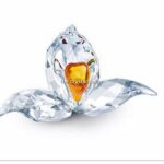 Swarovski_2018_orchid_renewal_5301553_1_WM Swarovski_2018_orchid_renewal_5301553 | The Crystal Lodge
