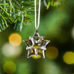 Swarovski_2019_Christmas_ornament_clear_little_5429593_2_WM Swarovski_2019_Christmas_ornament_clear_little_5429593 | The Crystal Lodge