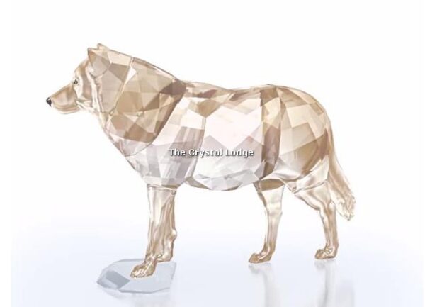 Swarovski_2019_SCS_Gray_Grey_Wolf_5428544 | The Crystal Lodge