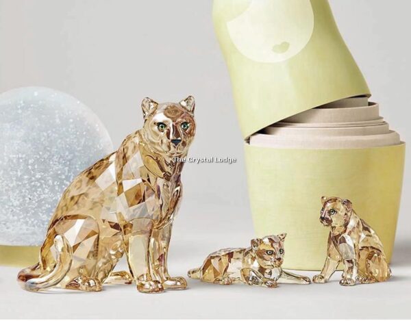 Swarovski_2019_SCS_Leopard_cubs_5428542 | The Crystal Lodge
