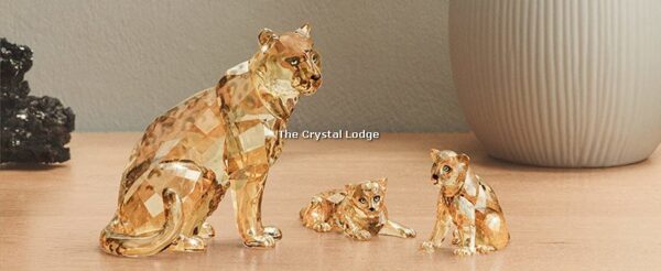 Swarovski_2019_SCS_Leopard_cubs_5428542 | The Crystal Lodge