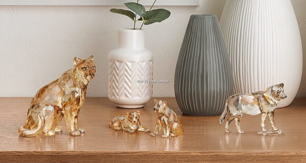 Swarovski_2019_SCS_Leopard_cubs_5428542 | The Crystal Lodge