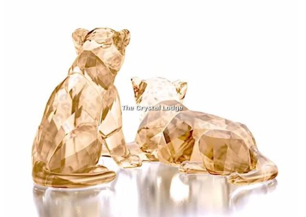 Swarovski_2019_SCS_Leopard_cubs_5428542 | The Crystal Lodge