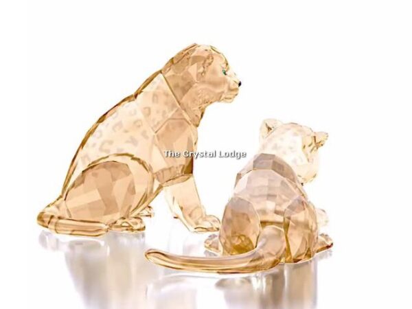 Swarovski_2019_SCS_Leopard_cubs_5428542 | The Crystal Lodge