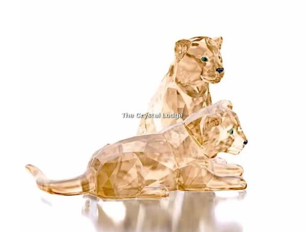 Swarovski_2019_SCS_Leopard_cubs_5428542 | The Crystal Lodge