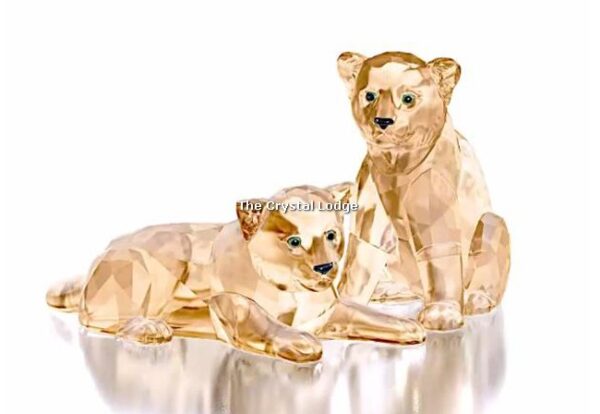 Swarovski_2019_SCS_Leopard_cubs_5428542 | The Crystal Lodge