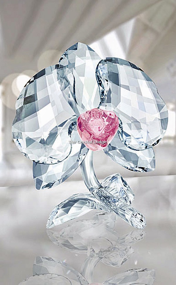 Swarovski_Orchid_2018_5301562 | The Crystal Lodge