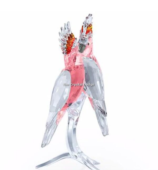 Swarovski_Paradise_Cockatoos_pink_5244651 | The Crystal Lodge