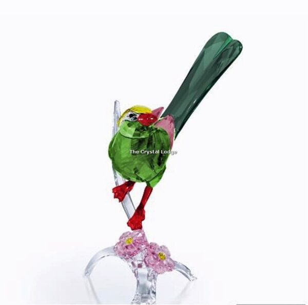 Swarovski_Paradise_Green_Magpie_5244650 | The Crystal Lodge