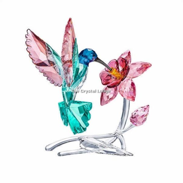 Swarovski_Paradise_Hummingbird_2019_5461872 | The Crystal Lodge