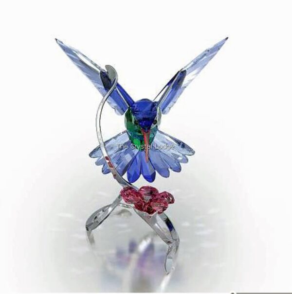 Swarovski_Paradise_birds_Hummingbird_1188779 | The Crystal Lodge