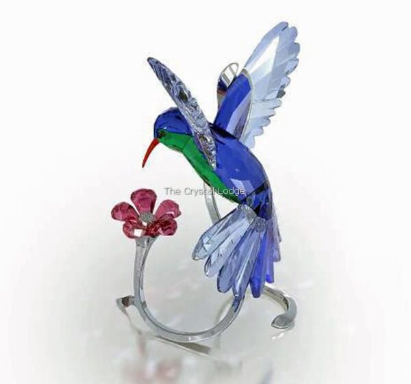 Swarovski_Paradise_birds_Hummingbird_1188779 | The Crystal Lodge